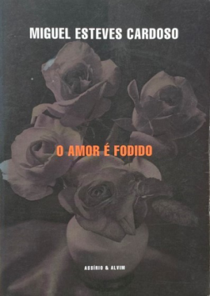 O Amor é Fodido Romance livro